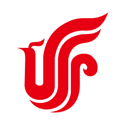 中国国际航空