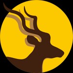 精选内容-开发者导航